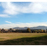 Foto Simona Tratzi e Max Zarri